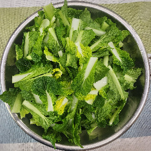 다운로드 (3).jpg