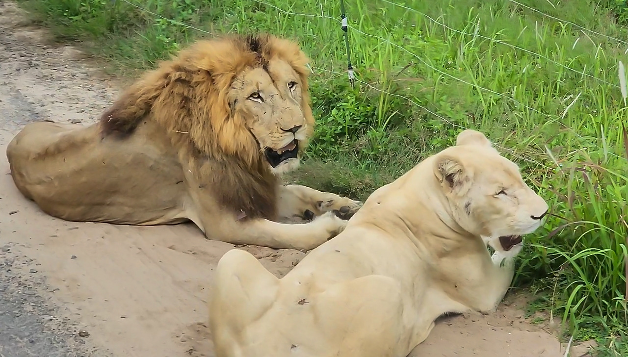 다운로드 복사.jpg