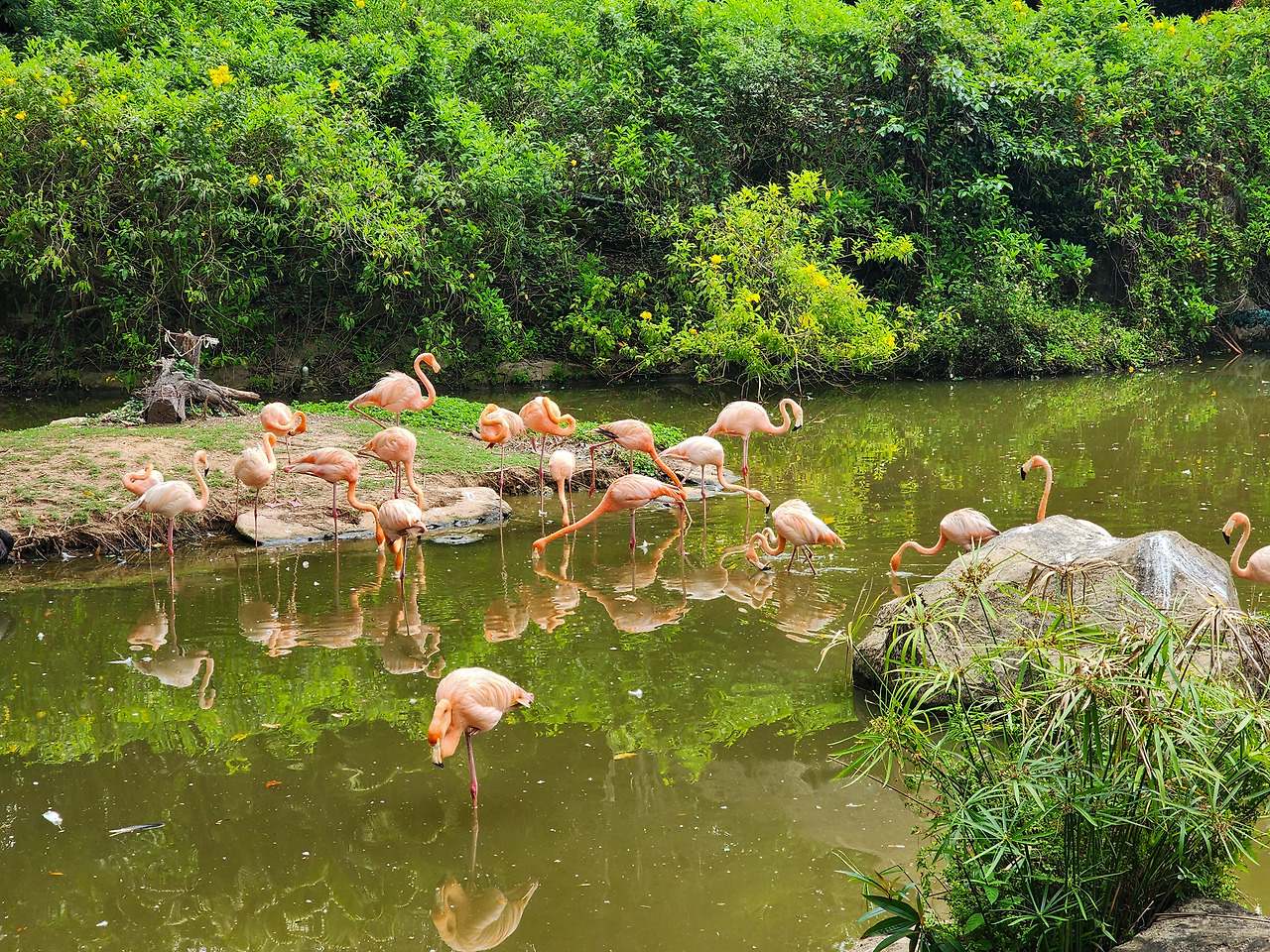 20250316_100021 복사.jpg