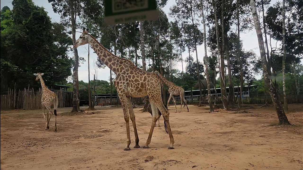 Screenshot_20250404_014936_Gallery 복사.jpg