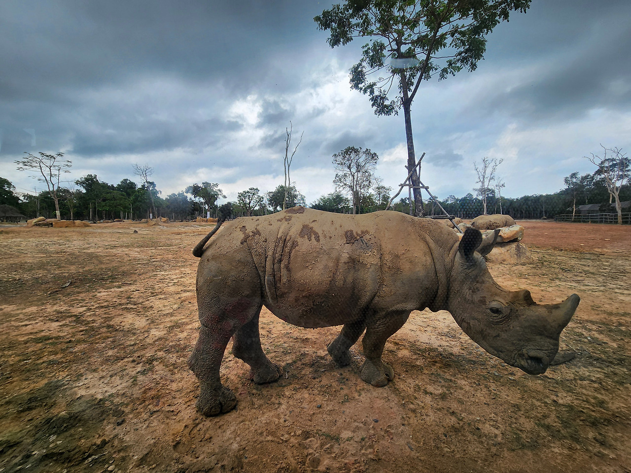 20250316_105820 복사.jpg