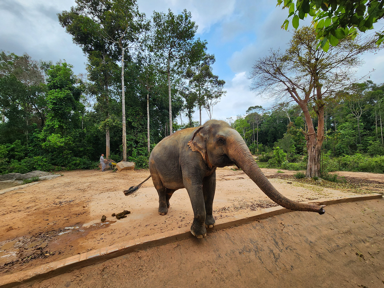 20250316_103015 복사.jpg