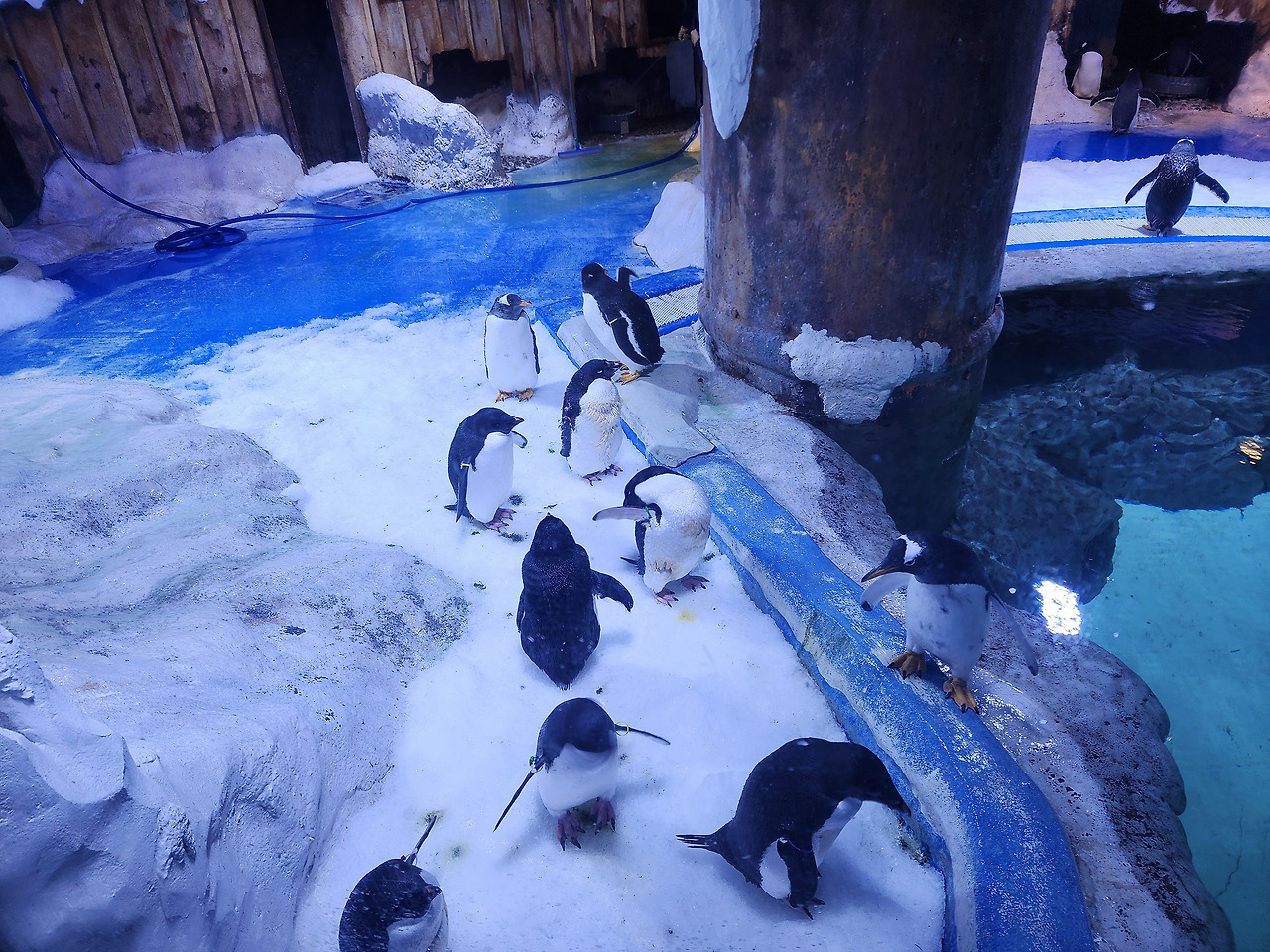 20250316_132542 복사.jpg