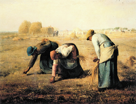 이삭줍기-원본.jpg