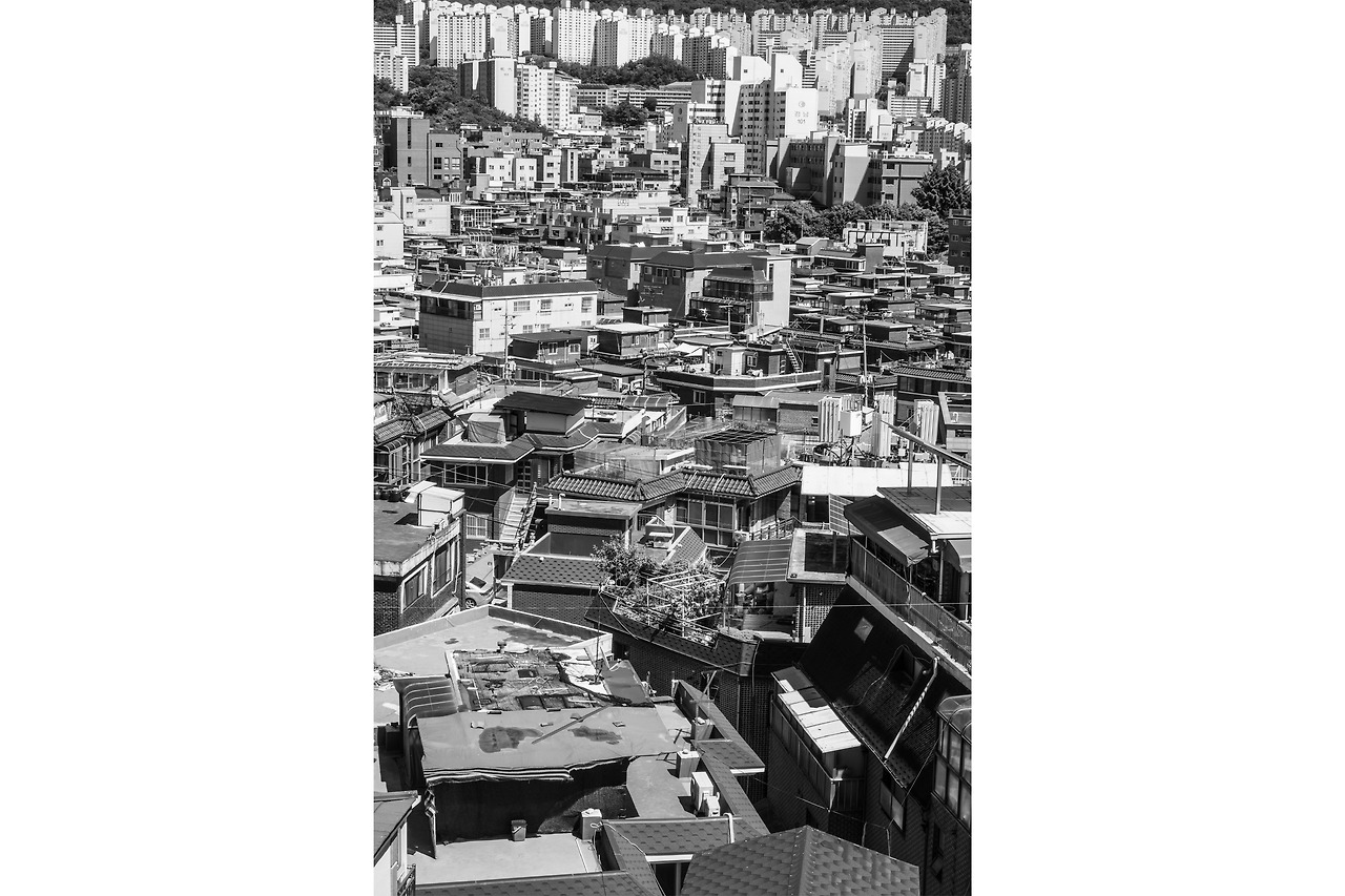 제목 없음-1.jpg