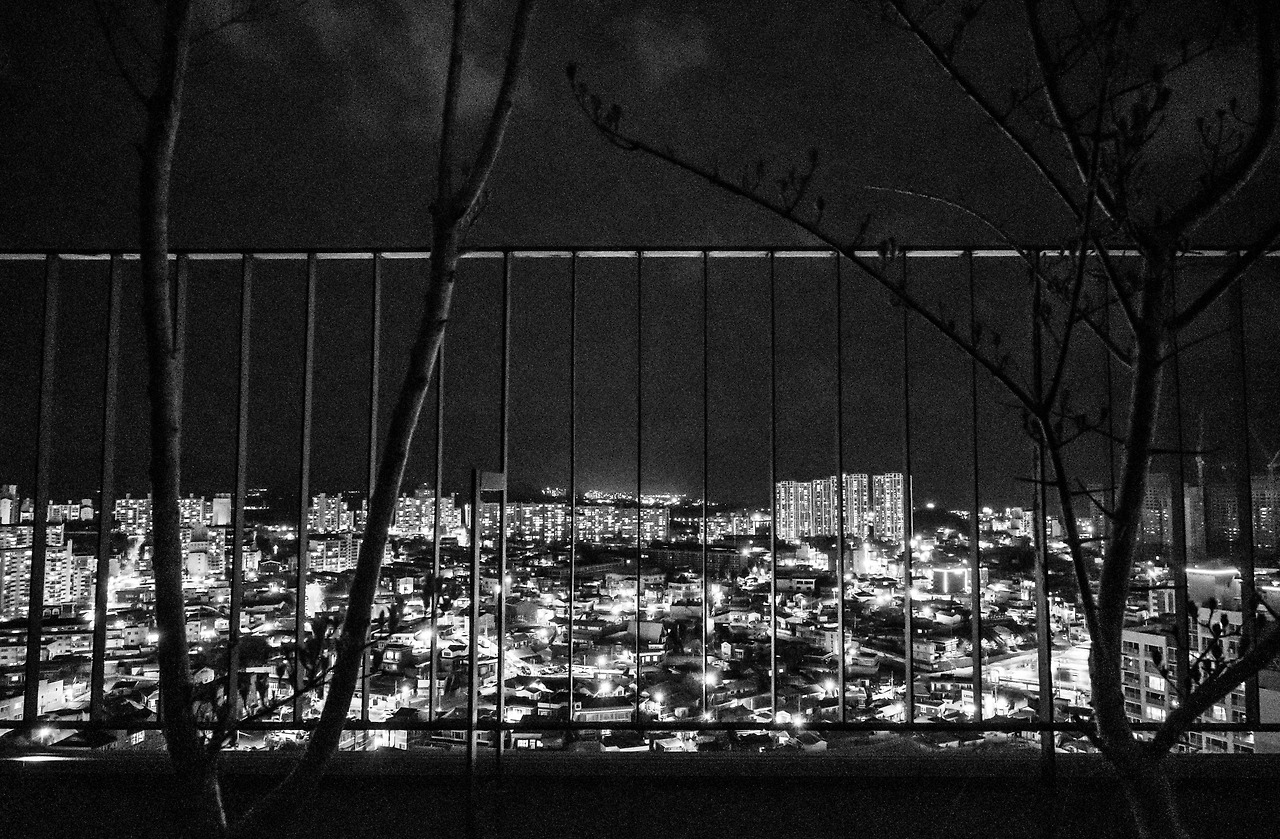 38 철창밖 풍경.jpg