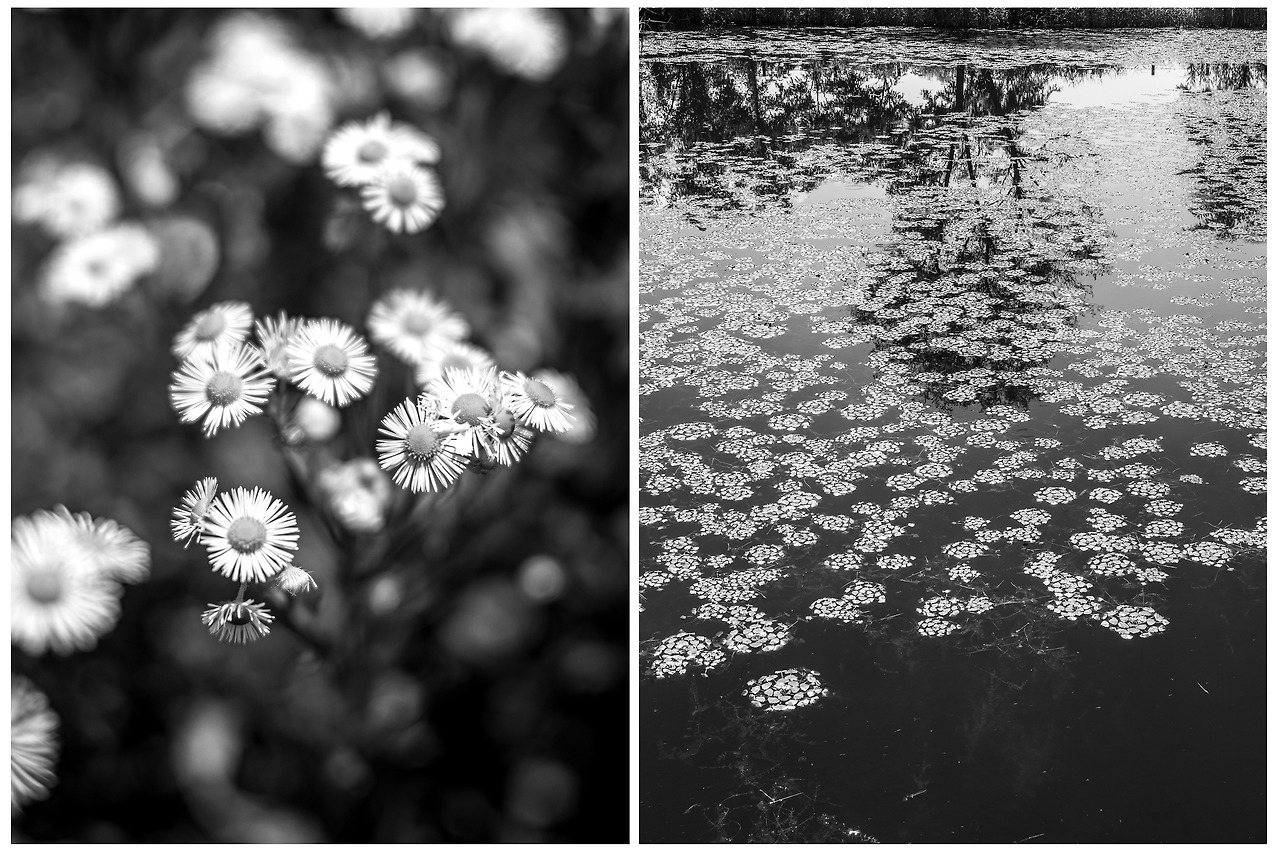 제목 없음-1.jpg