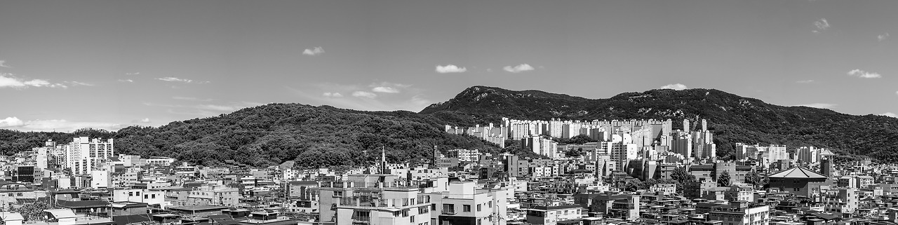 84 파노라마 .jpg