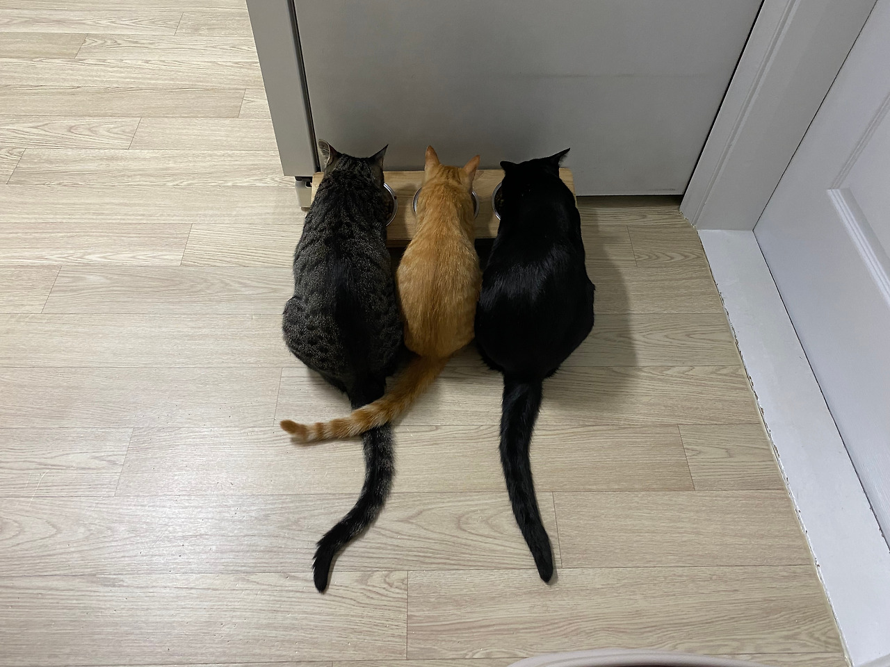 카지노 가입 쿠폰