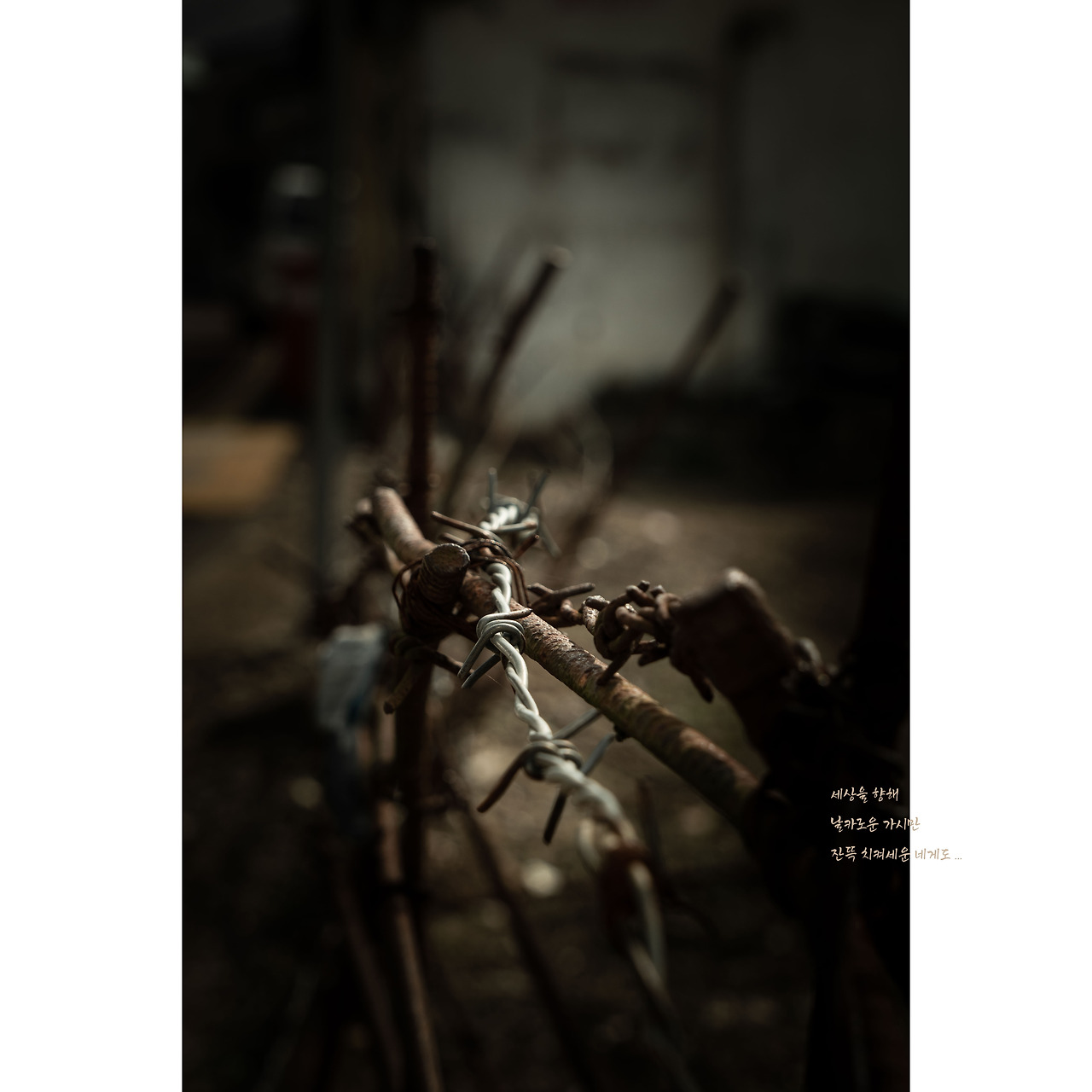 봄날의 햇살.jpg