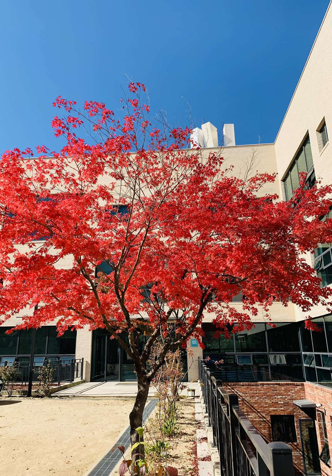 313174275_2630823543715863_5479320648870034644_n (1).jpg