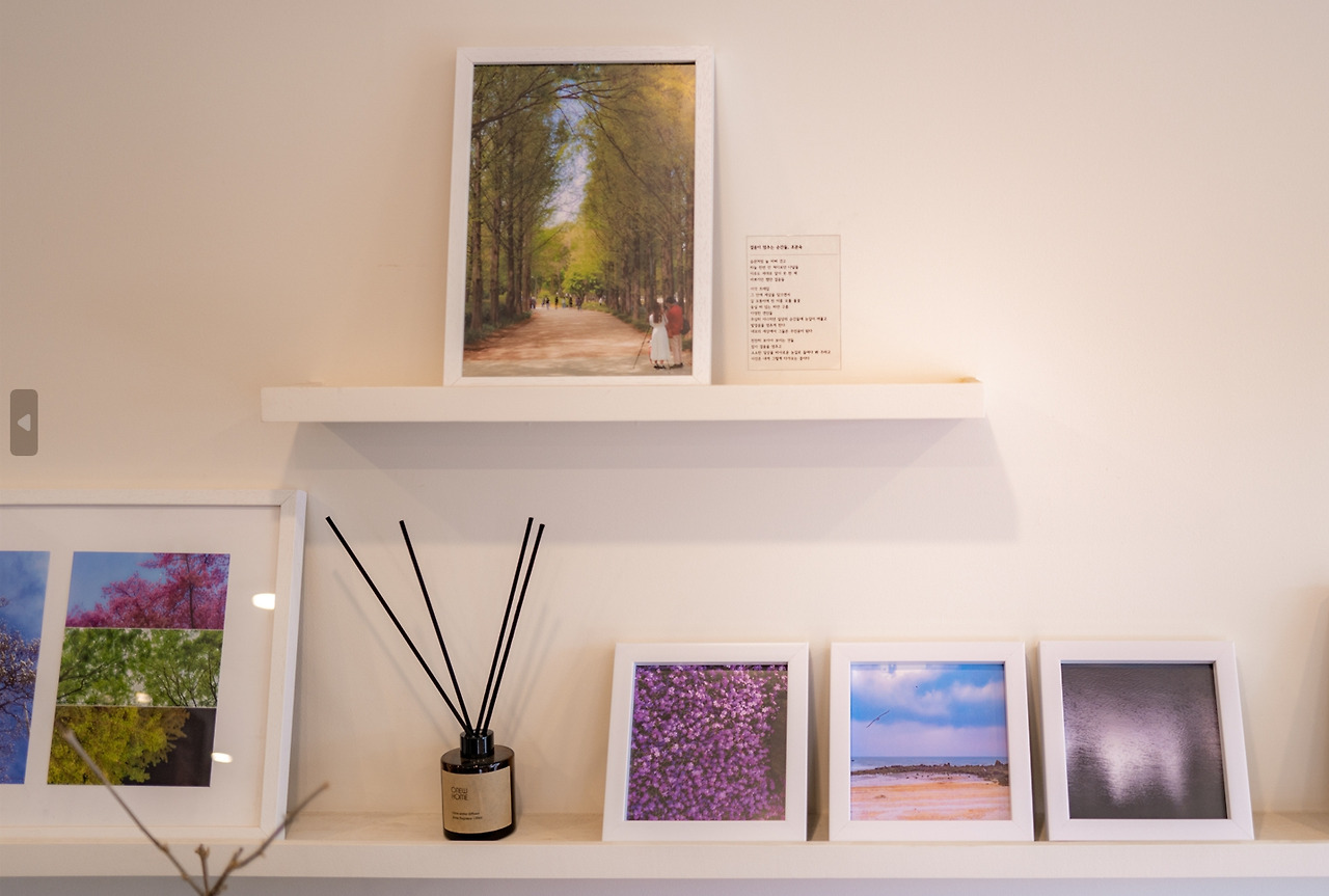 사진을 시작합니다 사진전 (1).jpg