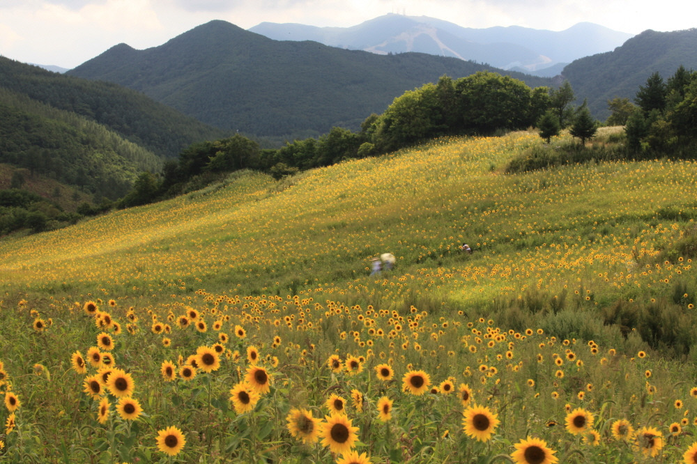 [크기변환][오뉴] 8월_추천 여행_소현 (6).jpg