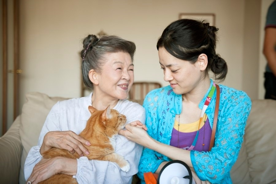 고양이를 빌려드립니다.jpg