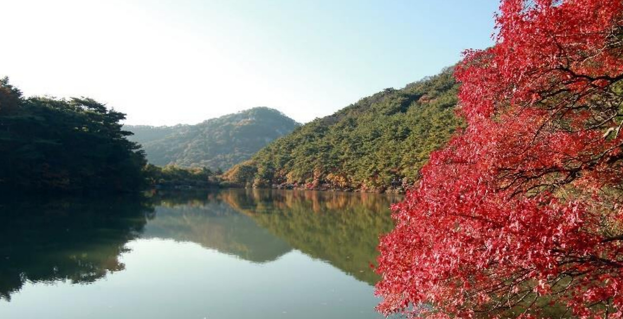 속리산 세조길.jpg