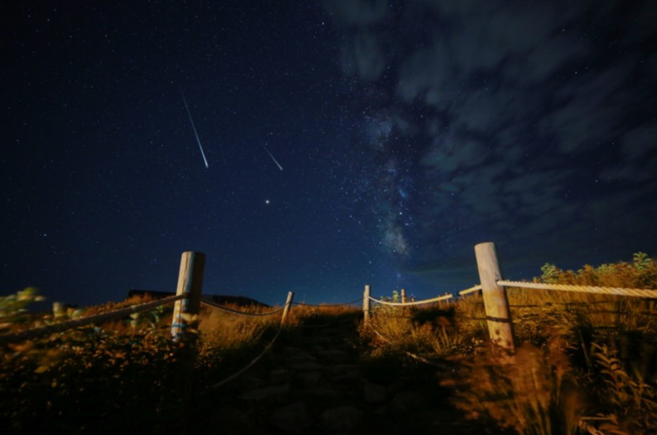 하이원 웰니스 프로그램 (4).jpg