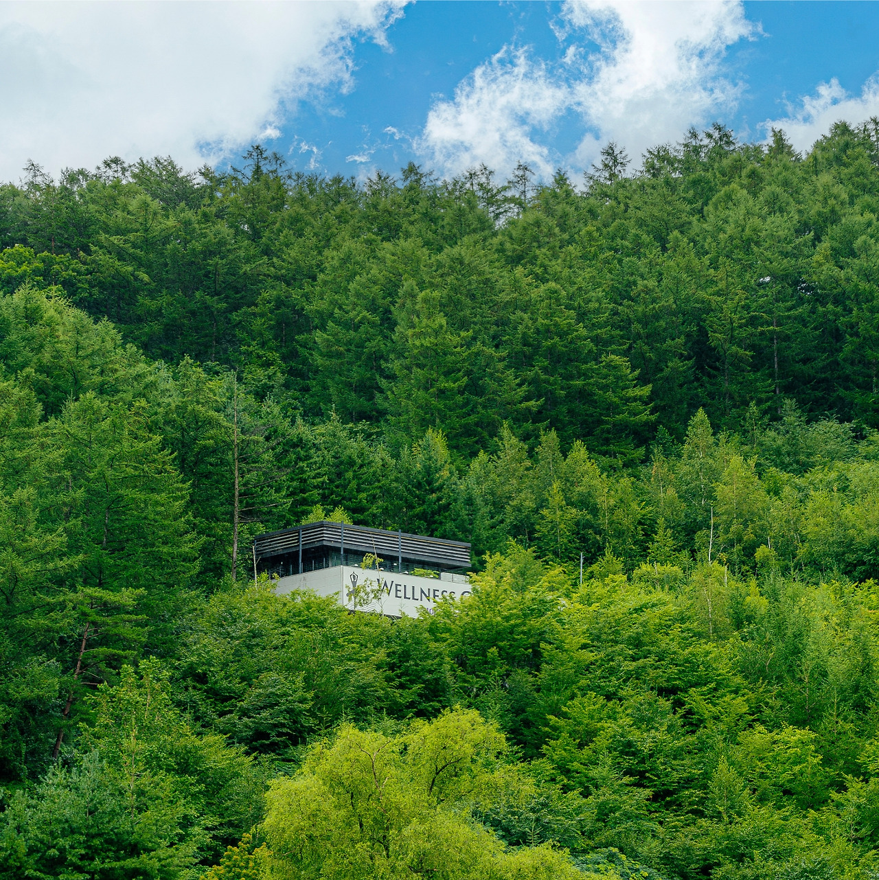 하이원 웰니스 프로그램 (8).jpg