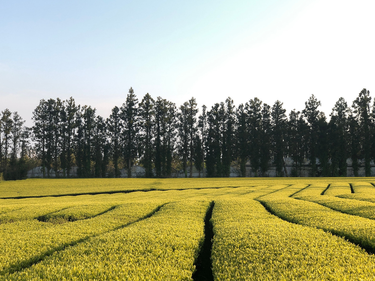 설연휴 여행지 (3).jpg