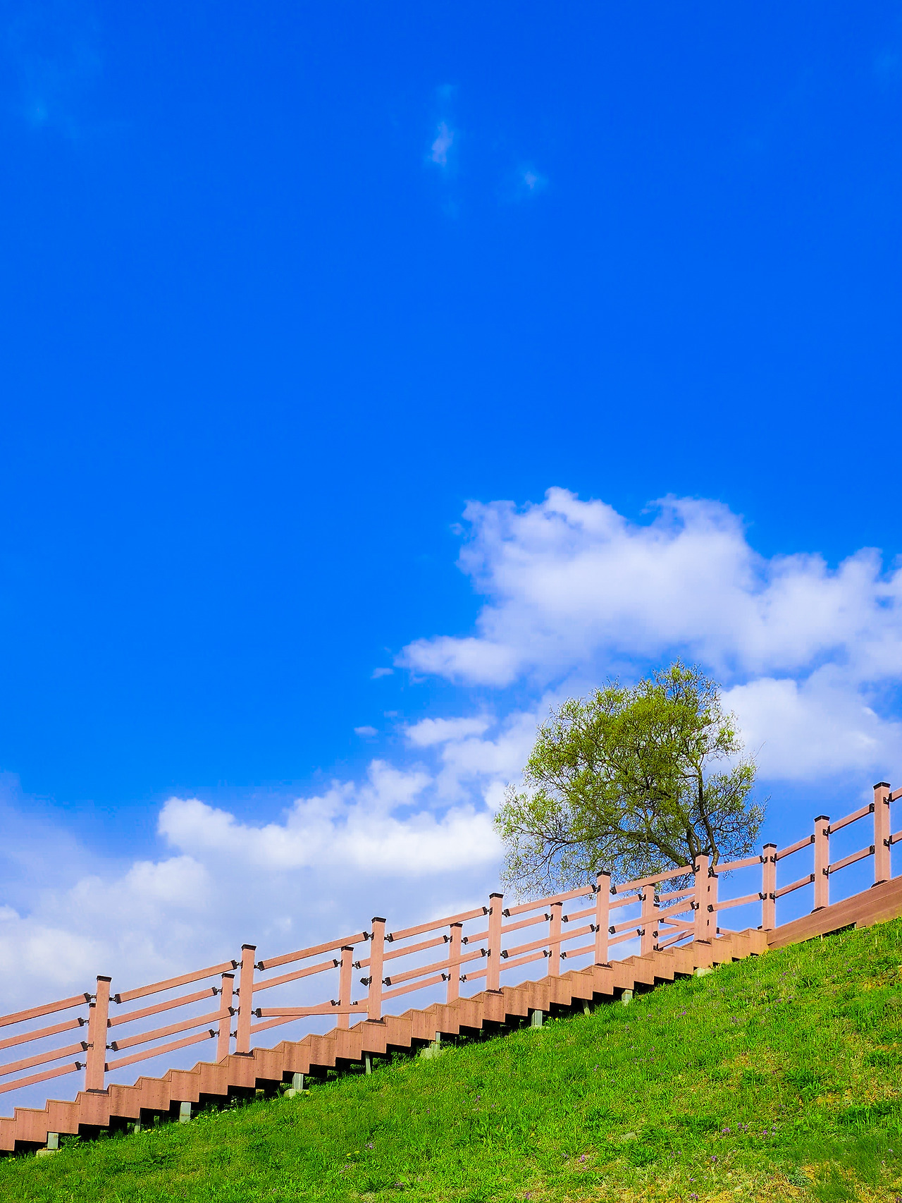 └╠╝■╚±_sub (1).jpg