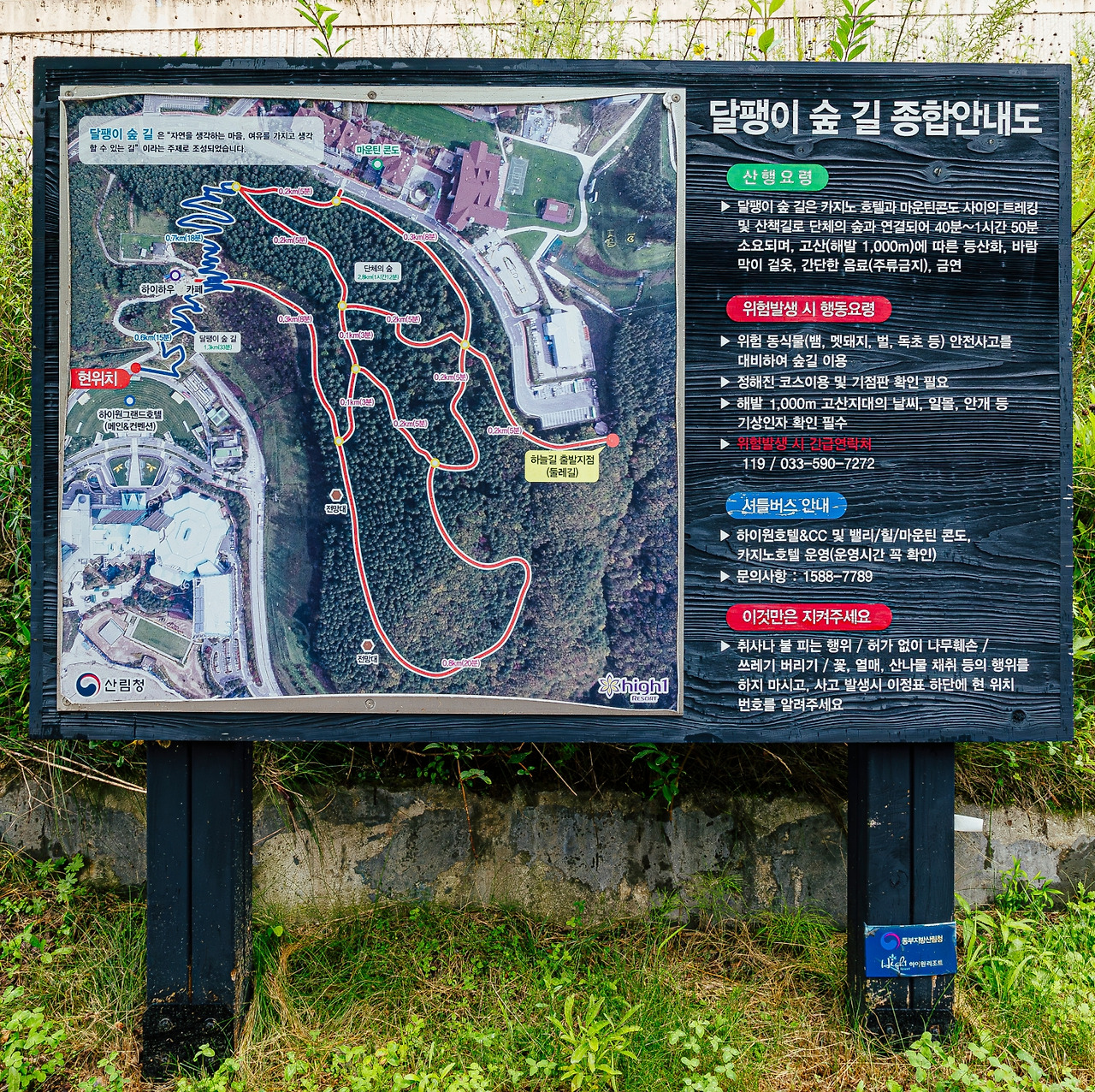 하이원 웰니스 프로그램 (3).jpg