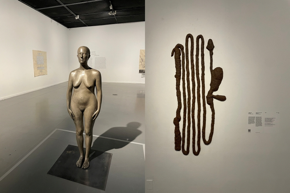 [크기변환]메두사와 소화계.jpg