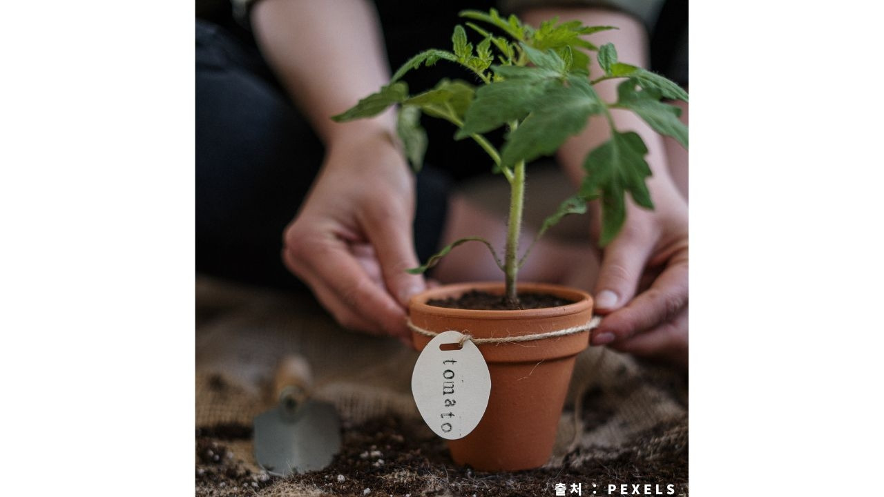 #24 사업 vs 장사.jpg