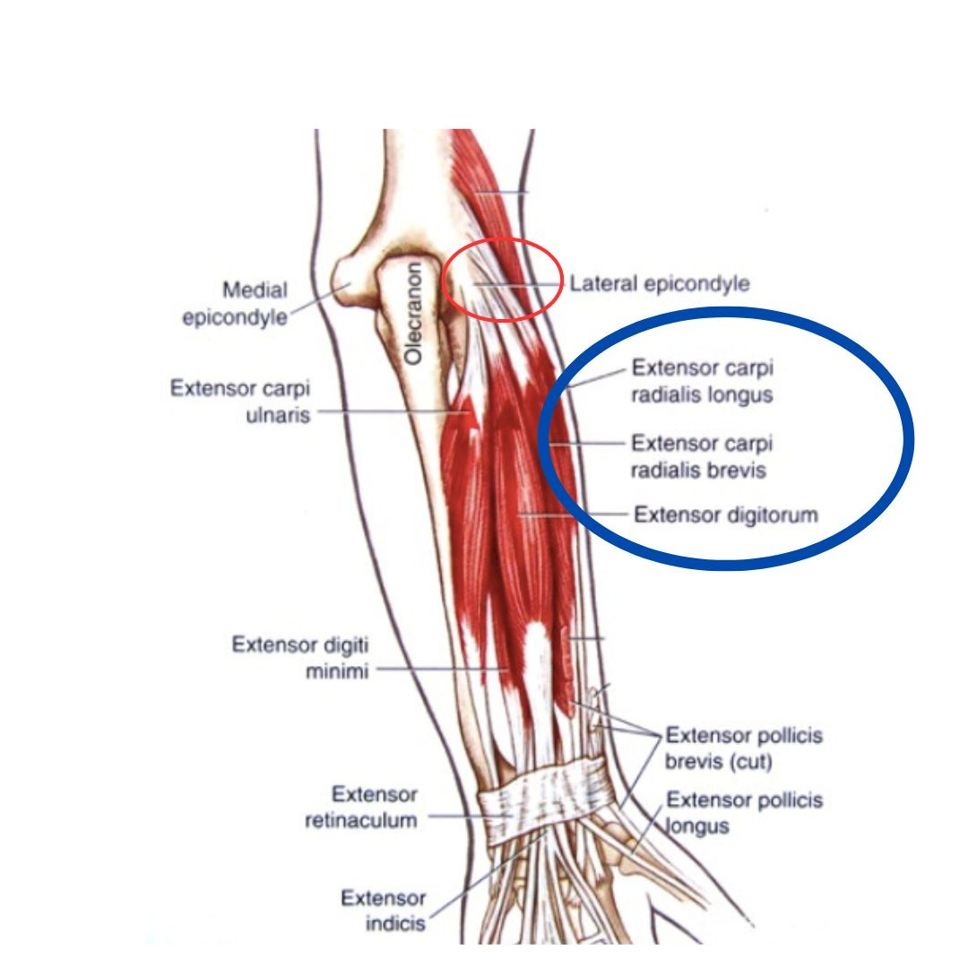 무릎 통증은 왜 생길까의 사본.jpg