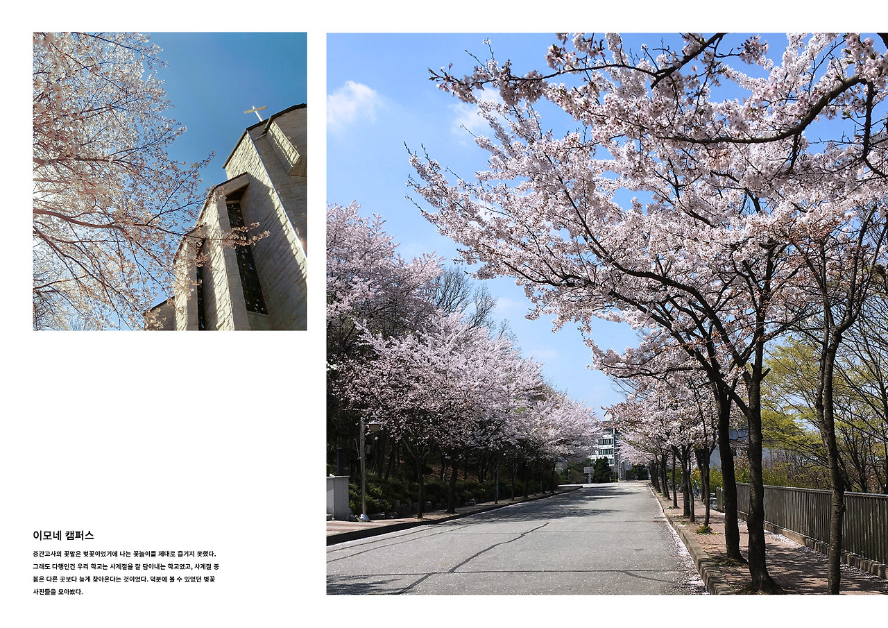 02_벚꽃길_2.jpg