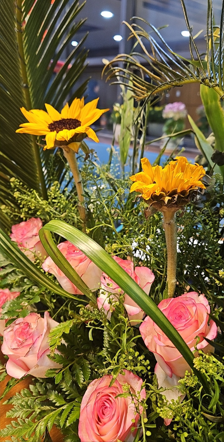 KakaoTalk_20250505_060634897_01 (1).jpg