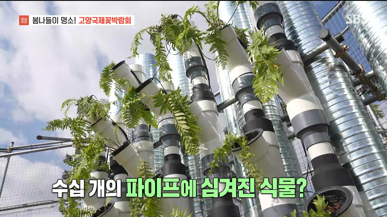 230428_모닝와이드 3부_고양국제꽃박람회.mp4_20230512_155444.317.jpg