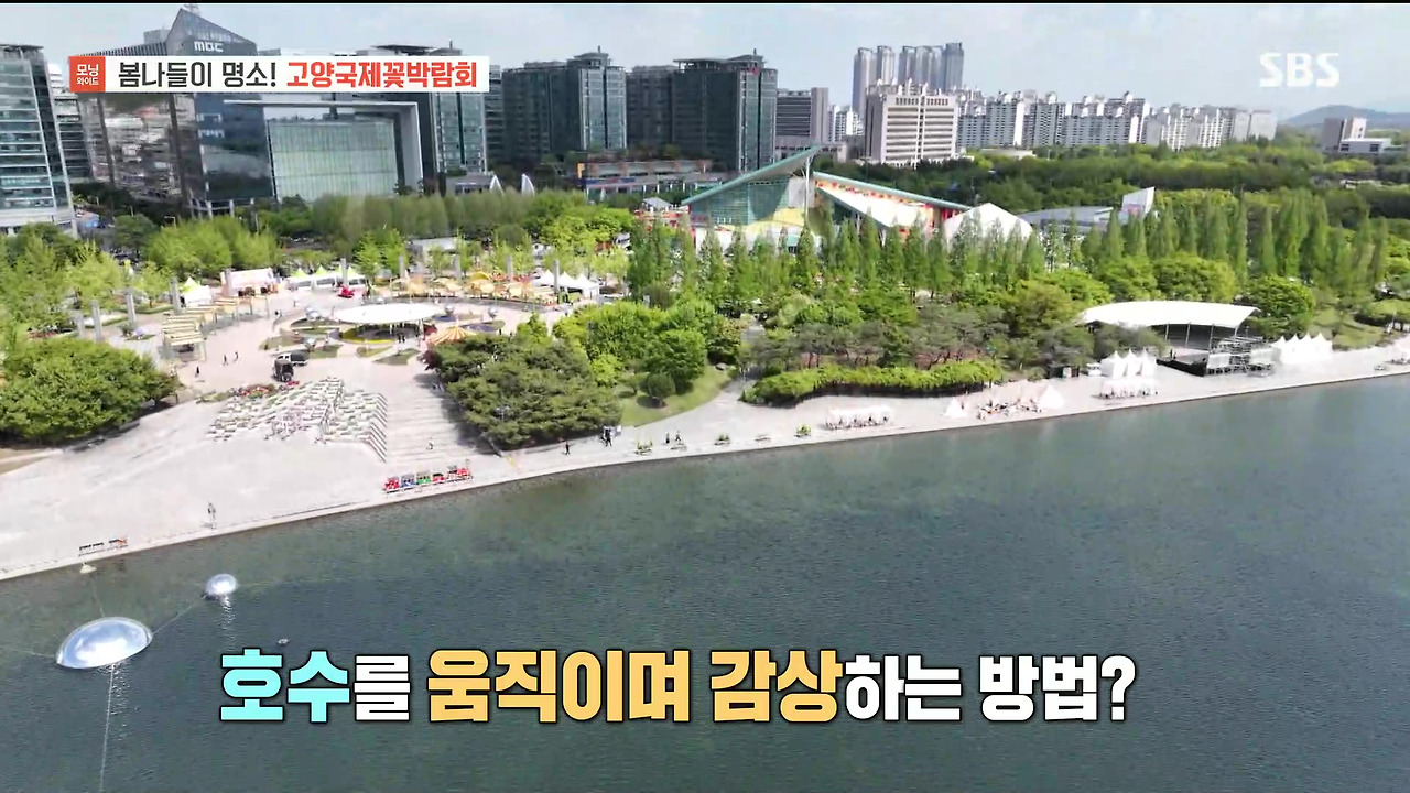 230428_모닝와이드 3부_고양국제꽃박람회.mp4_20230512_155823.725.jpg