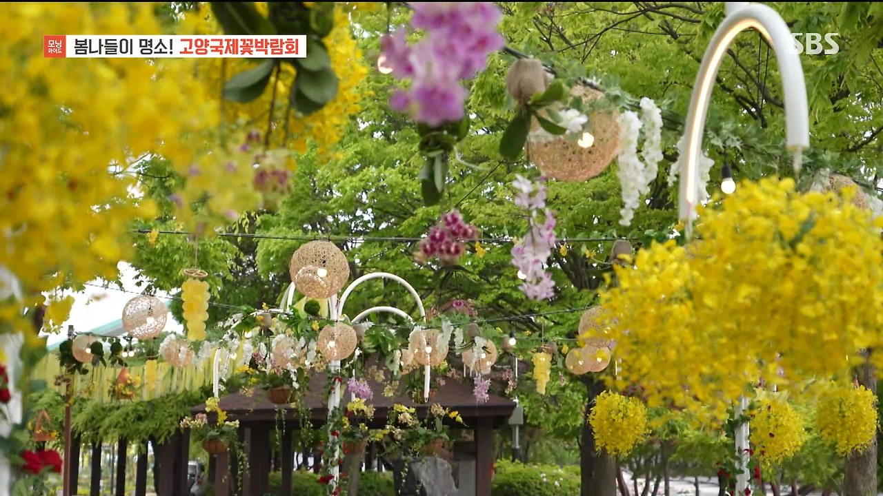 230428_모닝와이드 3부_고양국제꽃박람회.mp4_20230512_155355.022.jpg