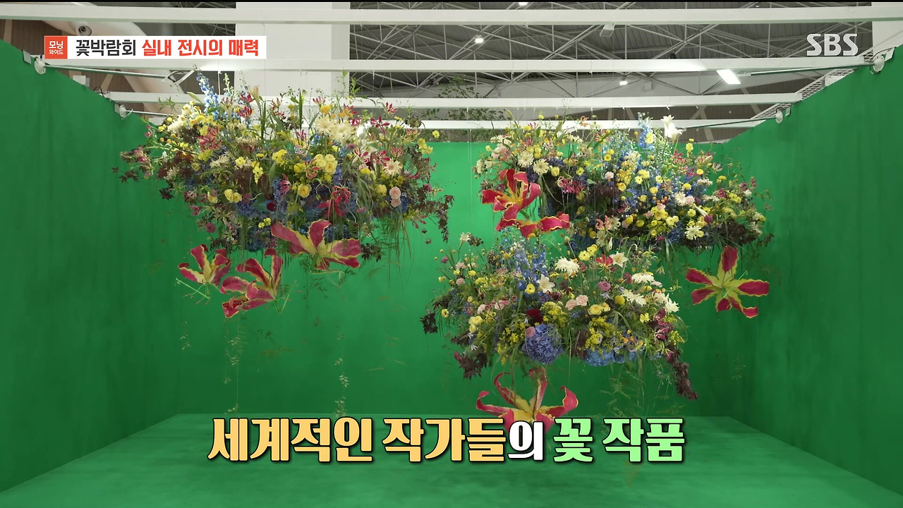 230428_모닝와이드 3부_고양국제꽃박람회.mp4_20230512_162257.326.jpg