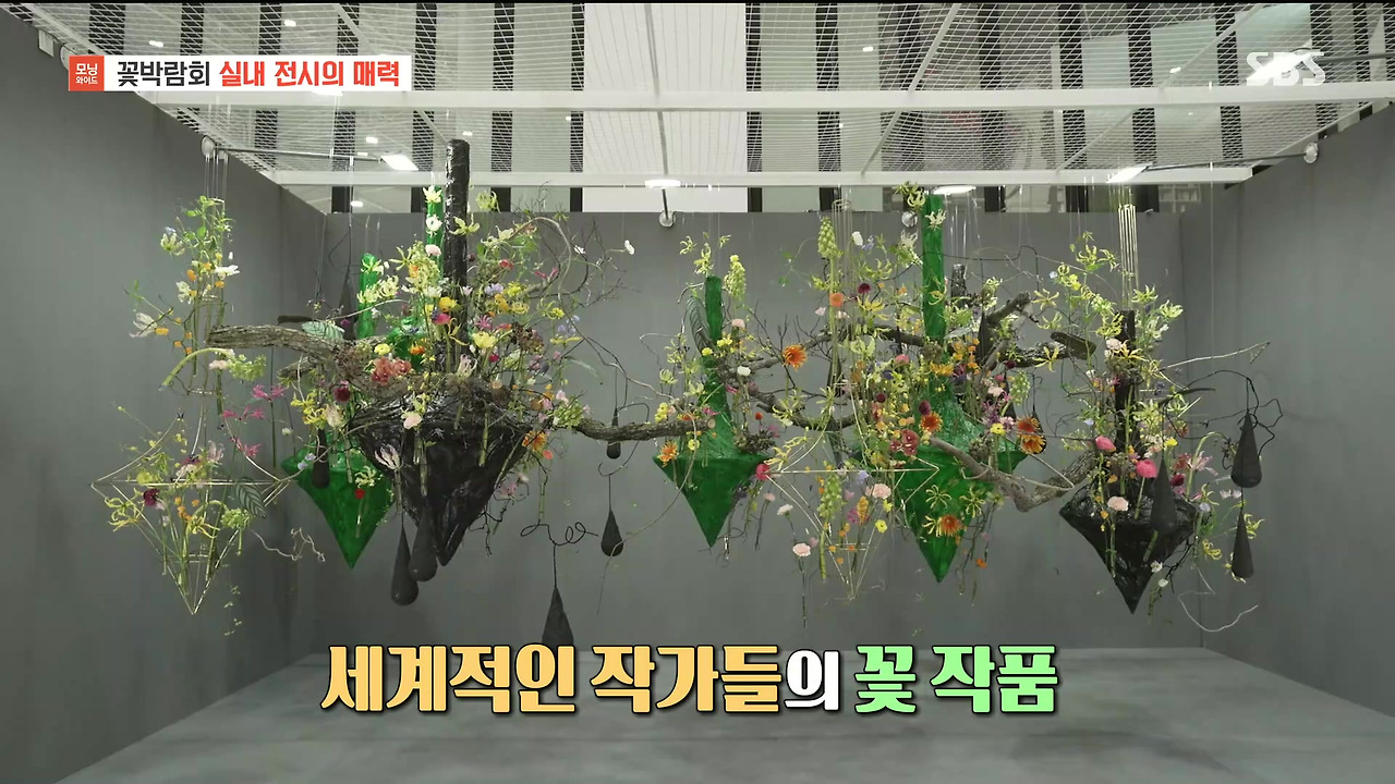 230428_모닝와이드 3부_고양국제꽃박람회.mp4_20230512_162259.078.jpg