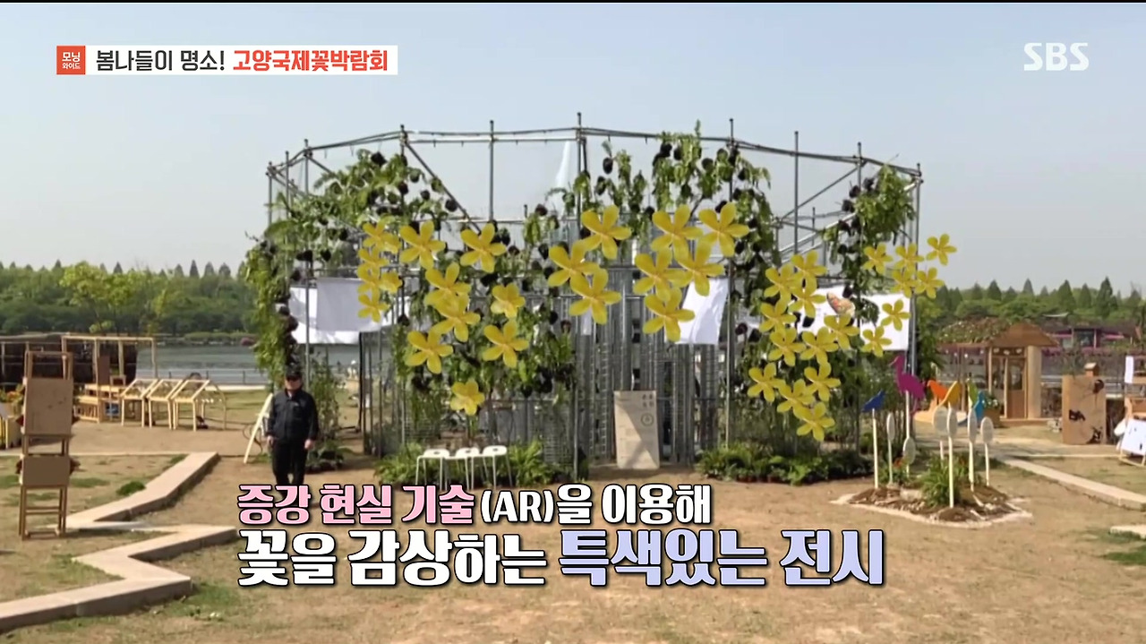 230428_모닝와이드 3부_고양국제꽃박람회.mp4_20230512_155524.429.jpg