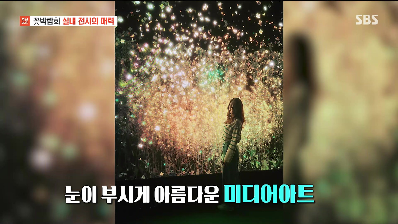 230428_모닝와이드 3부_고양국제꽃박람회.mp4_20230512_162308.455.jpg