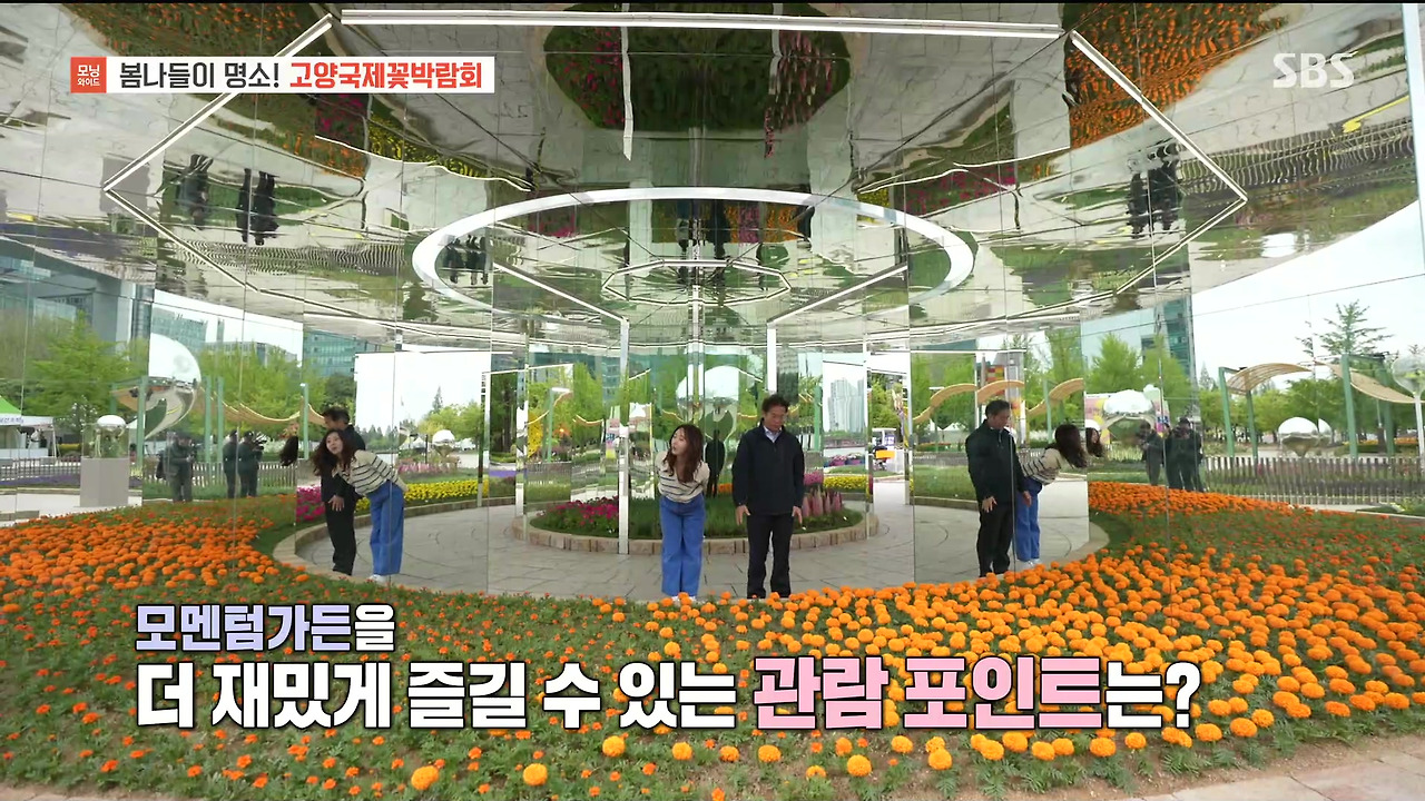 230428_모닝와이드 3부_고양국제꽃박람회.mp4_20230512_155714.548.jpg