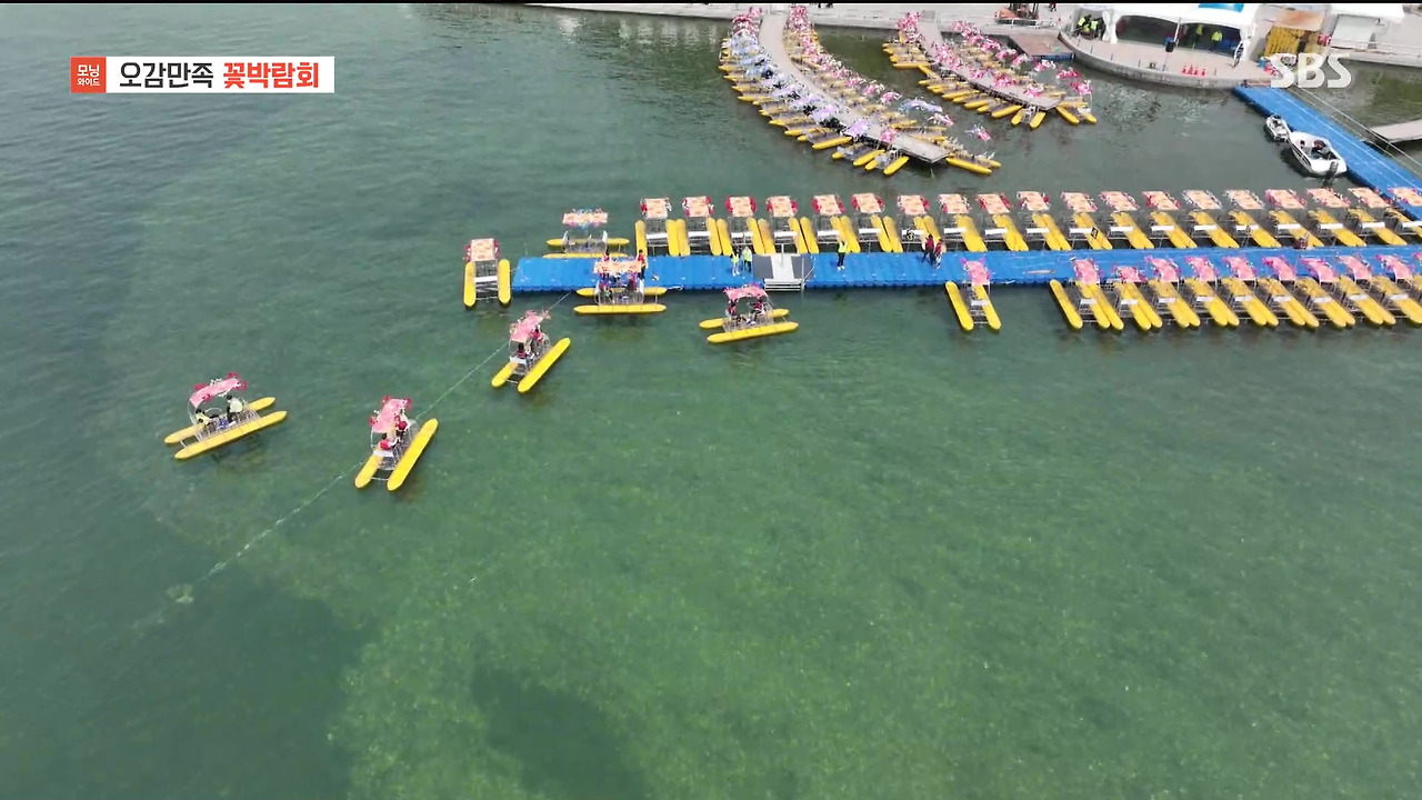 230428_모닝와이드 3부_고양국제꽃박람회.mp4_20230512_162115.718.jpg