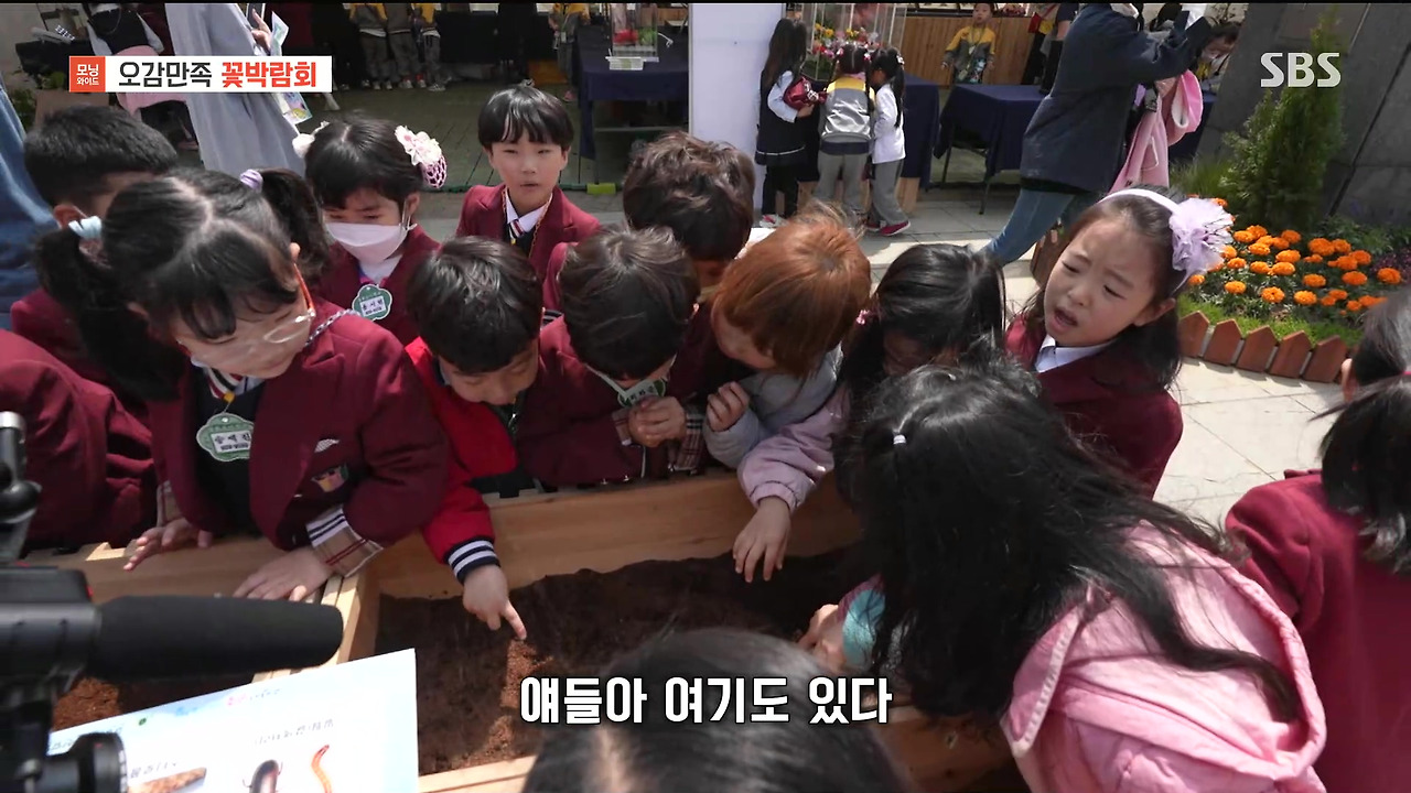 230428_모닝와이드 3부_고양국제꽃박람회.mp4_20230512_161948.142.jpg