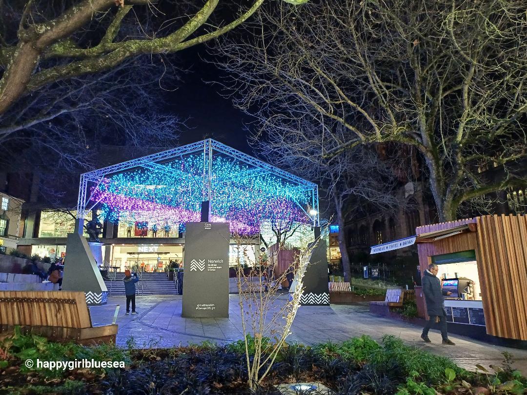 잘키웠고잘자랐네될성부른나무는떡잎부터다르다 4.jpg