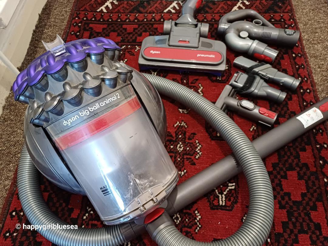 지인으로부터물려받은다이슨청소기.jpg
