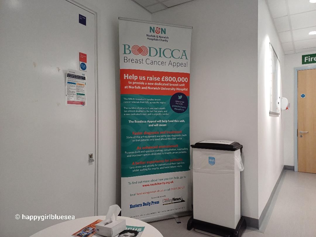 Breast cancer appeal.jpg