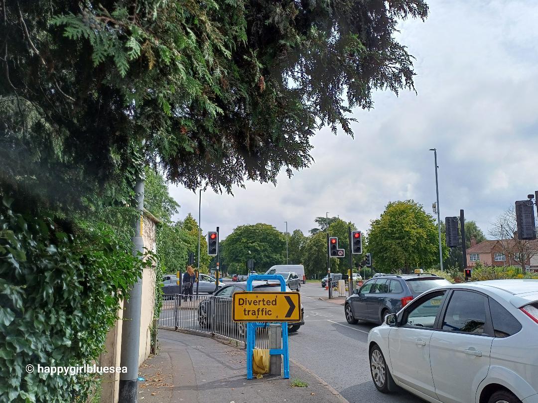 Diverted traffic사인으로붐비는교차.jpg