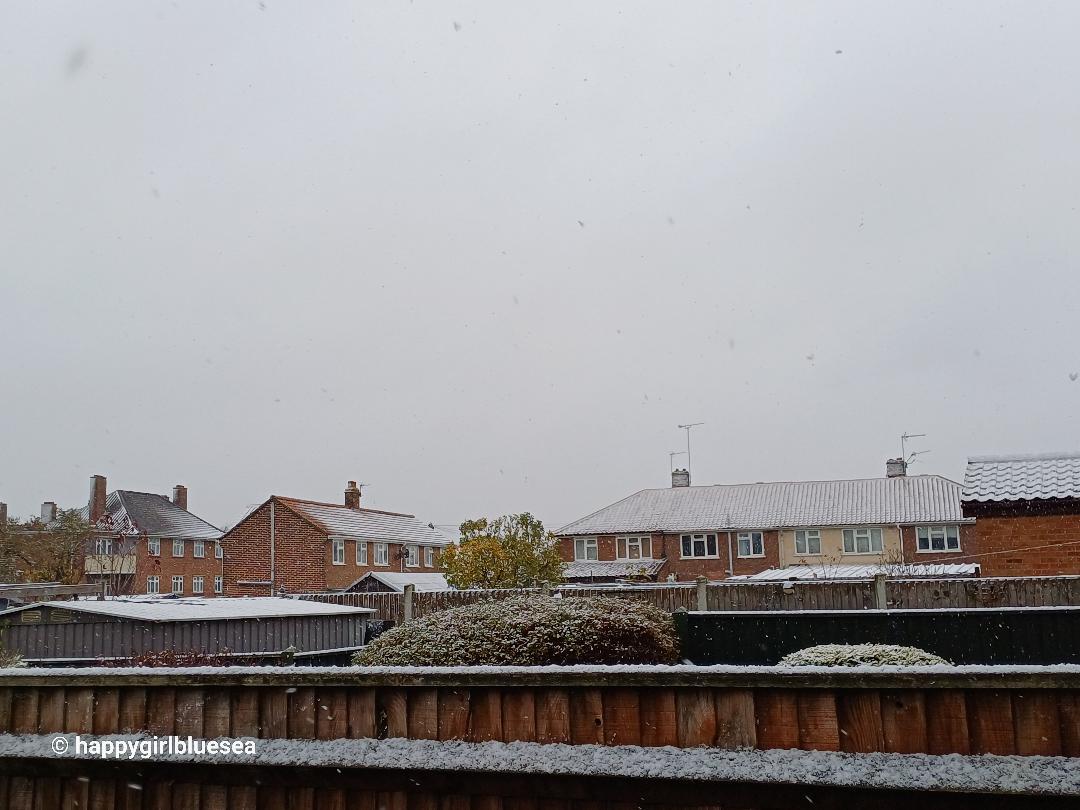 첫눈이쌓인풍경영국공공임대주택단지에11월에처음으로 영국에 첫눈이 온날.jpg