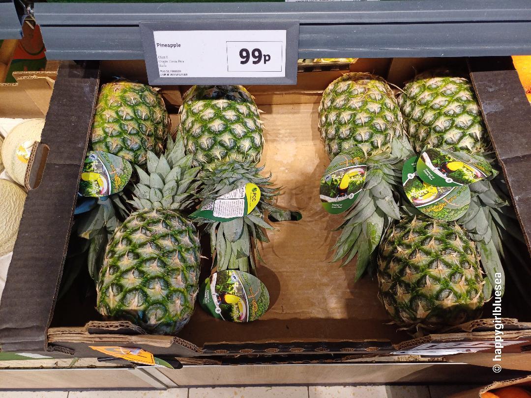 파인애플.jpg