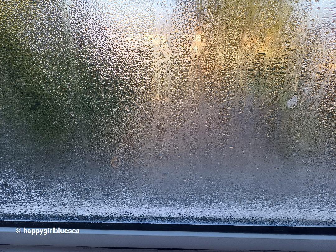 indeed black tea is the best when it is cold (2).jpg