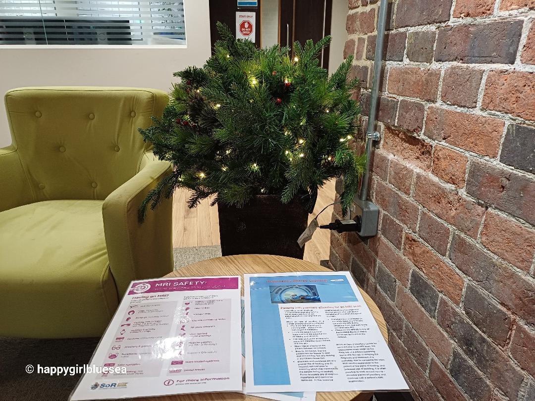 작은 크리스마스트리영국에서 MRI 검사 받던 날 올겨울 가장 추운 날 마침내 영국에서 MRI 검사를 받았다.jpg