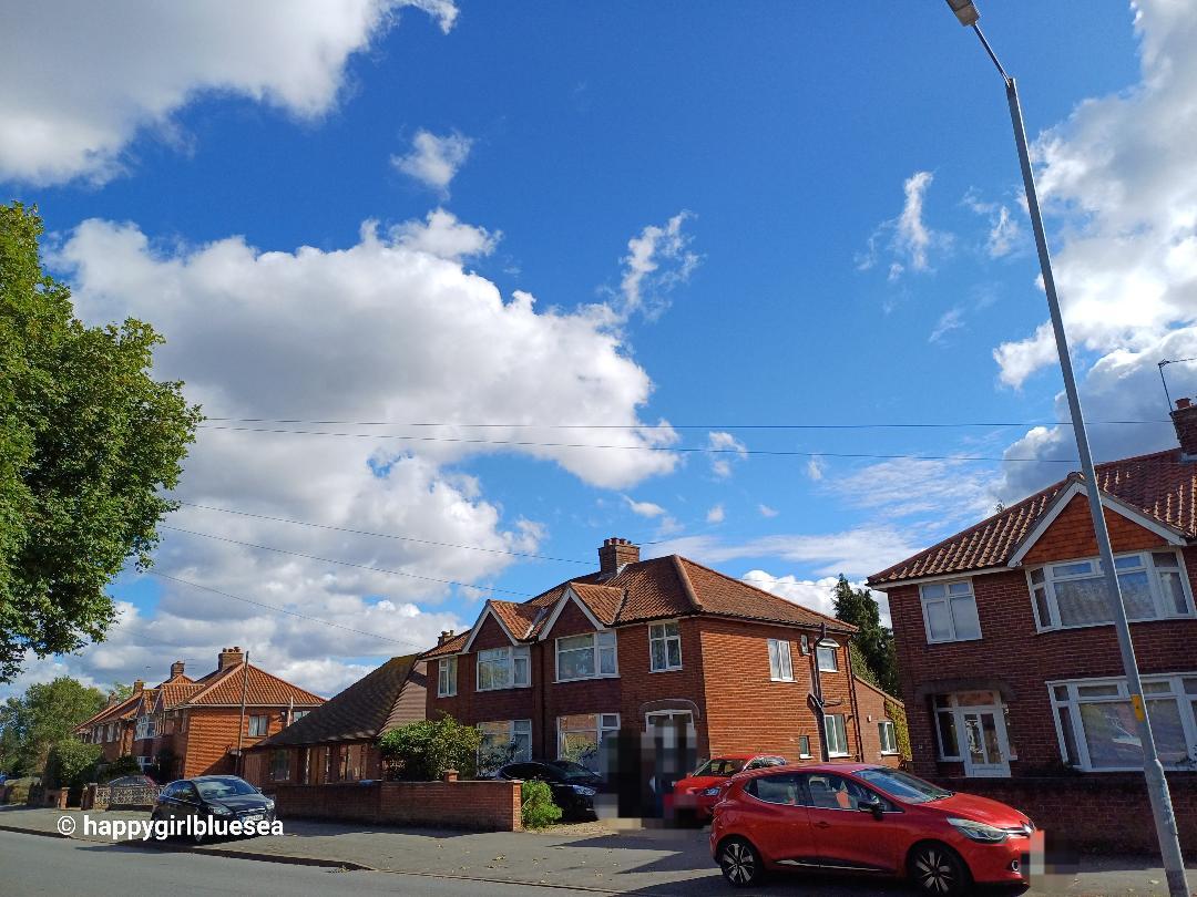 자동차가 필요하면 언제라도 태워다줄께.jpg