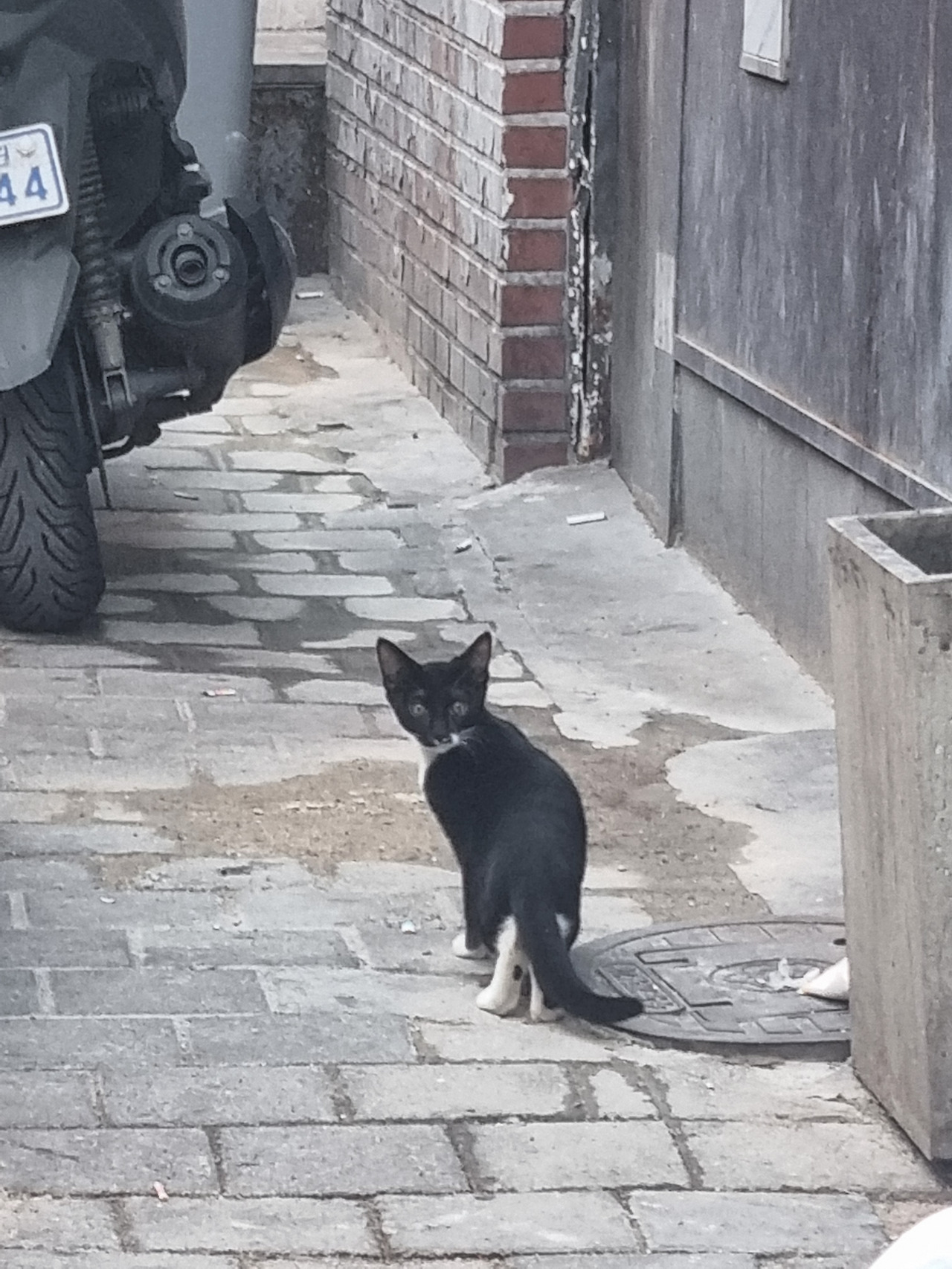 하다못해 습작이라도.jpg