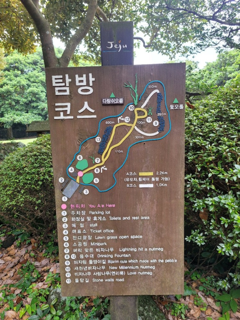 제주살이0403.jpg